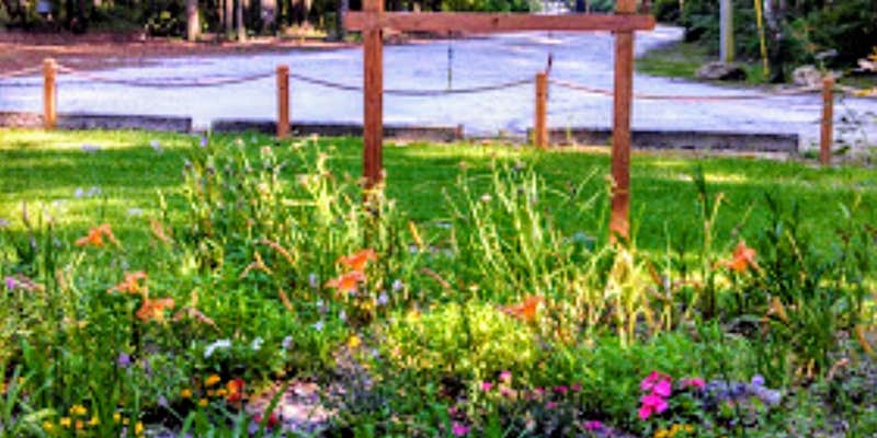 Camper submitted image from Ichetucknee Springs Campground