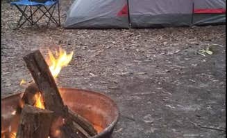 Summer H.'s photo at Ichetucknee Springs Campground near Mayo, FL