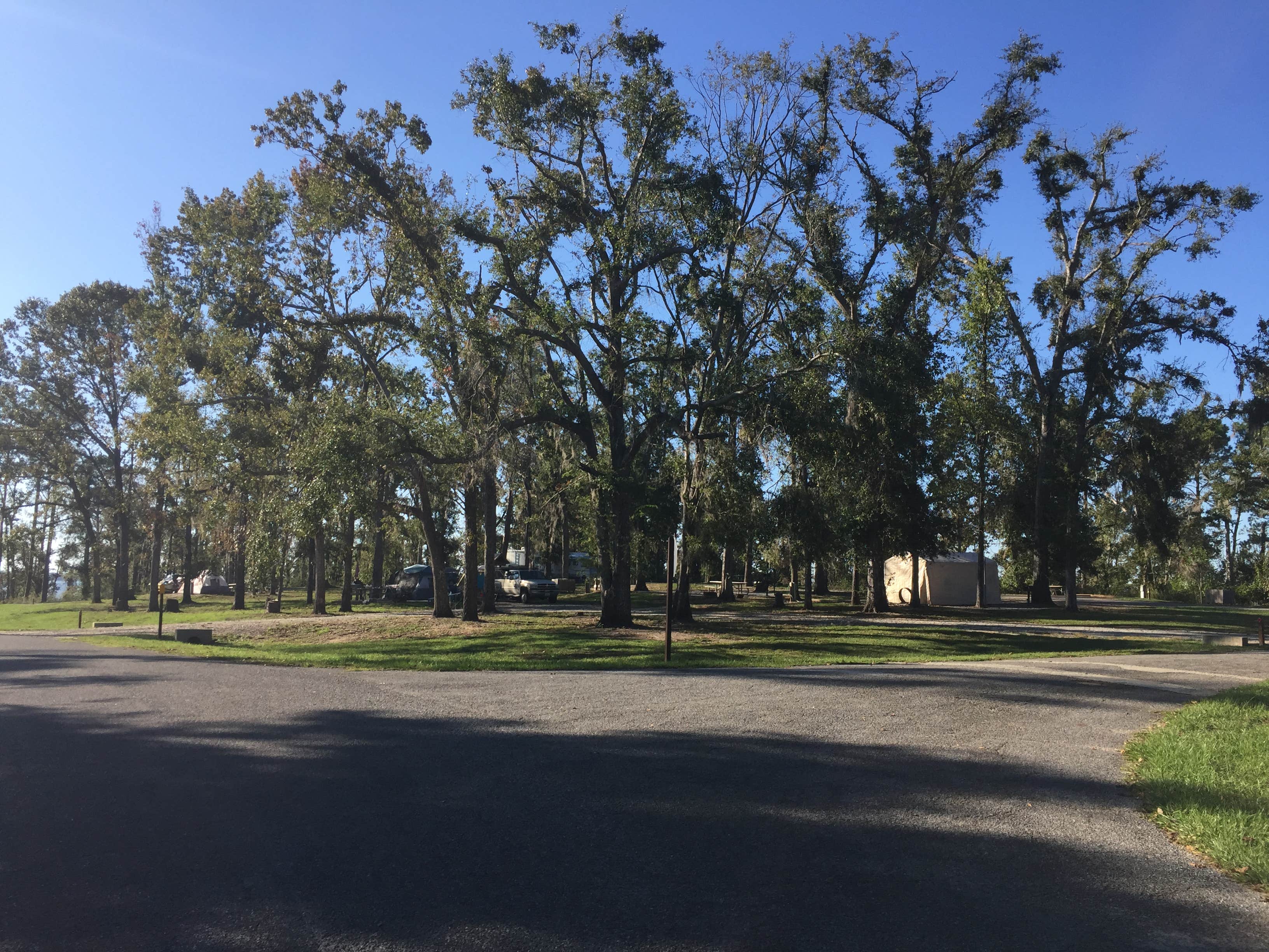 Camper-submitted photo at River Junction - Lake Seminole near Lake Seminole