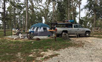 Teri S.'s photo at River Junction - Lake Seminole near Paradise Acres, GA