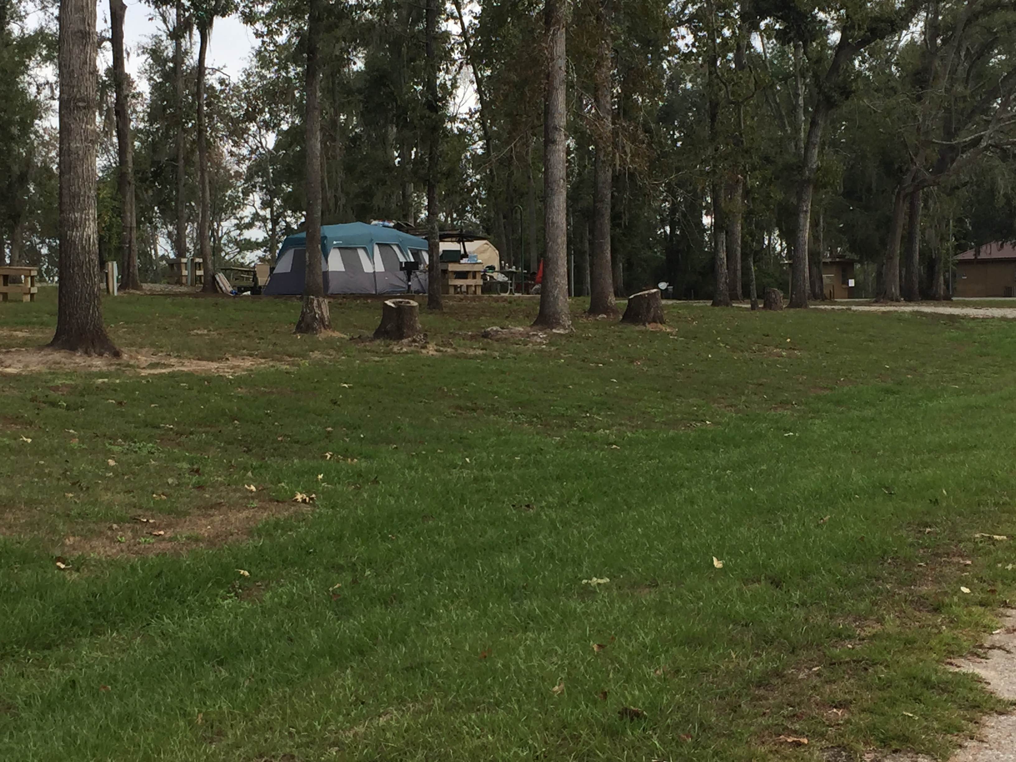 Seminole State Park Camping | The Dyrt