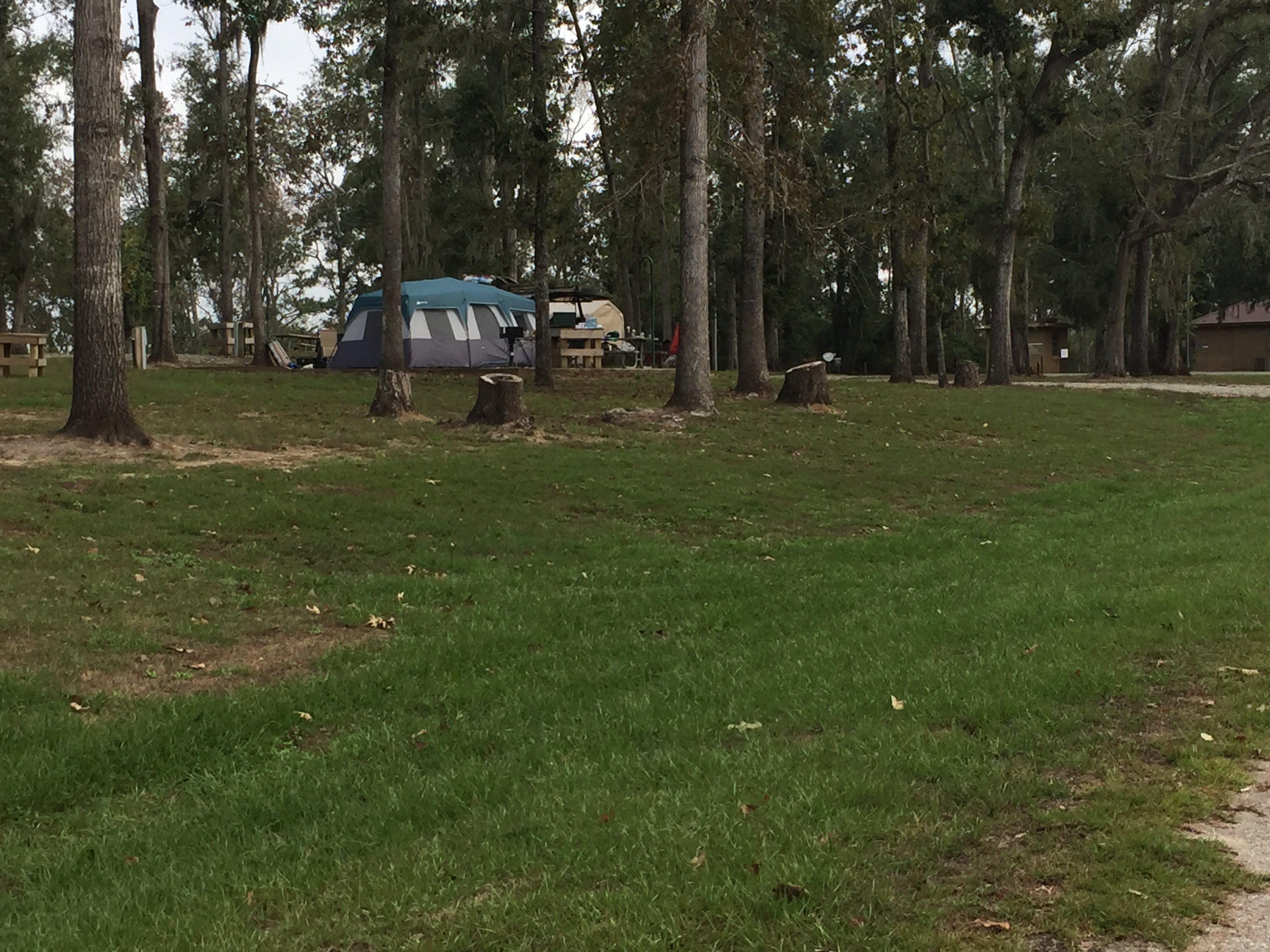 Camper submitted image from River Junction - Lake Seminole - 1
