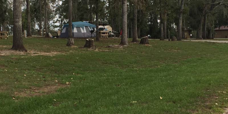 Camper submitted image from River Junction - Lake Seminole