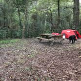 Review photo of Cypress Glen Campground by Jennifer T., November 12, 2019