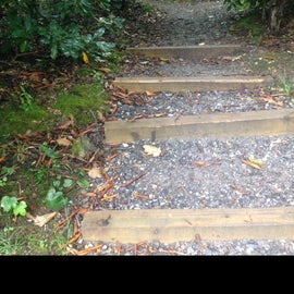 The steps leading up to our secluded campsite! Loved the spot we chose!