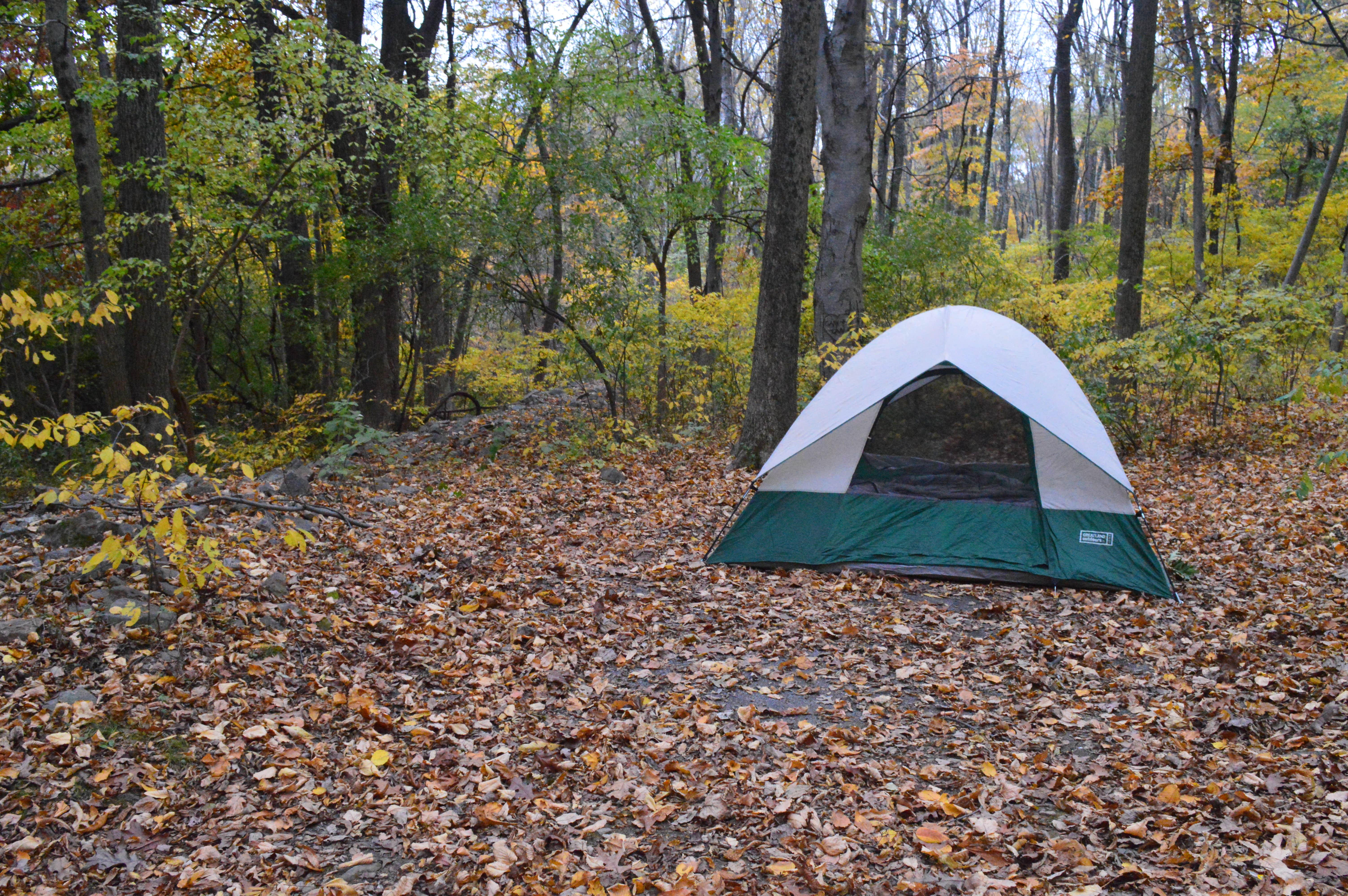 Camper submitted image from Mountainview Campground - 3