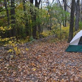 Review photo of Mountainview Campground by Christina H., November 12, 2019
