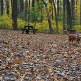 Review photo of Mountainview Campground by Christina H., November 12, 2019