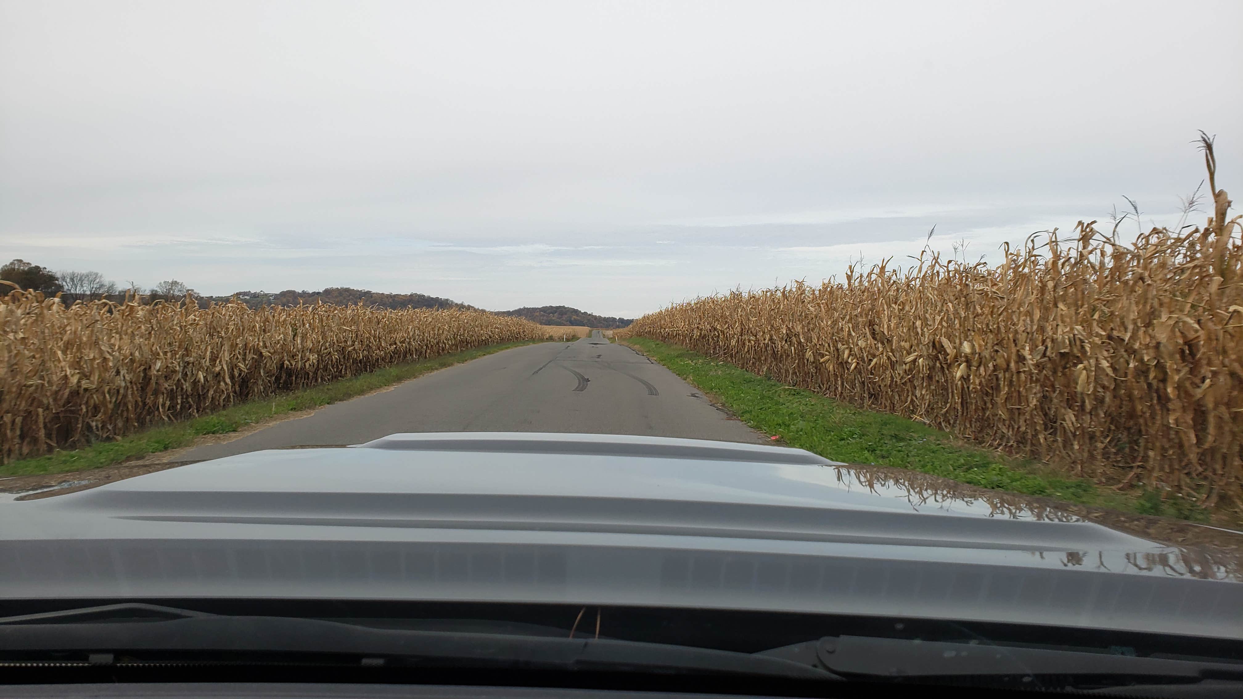 Camper-submitted photo at Mountainview Campground near Hellertown, PA