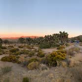 Review photo of Black Rock Campground — Joshua Tree National Park by Dad & B R., November 12, 2019