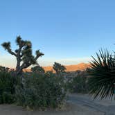 Review photo of Black Rock Campground — Joshua Tree National Park by Dad & B R., November 12, 2019