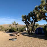 Review photo of Black Rock Campground — Joshua Tree National Park by Dad & B R., November 12, 2019