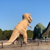 Review photo of Dinosaur Valley State Park — Dinosaur Valley State Park by Ammar A., November 13, 2019