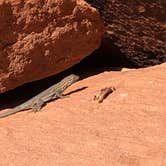 Review photo of Arch Rock Campground — Valley of Fire State Park by Derek S., November 13, 2019