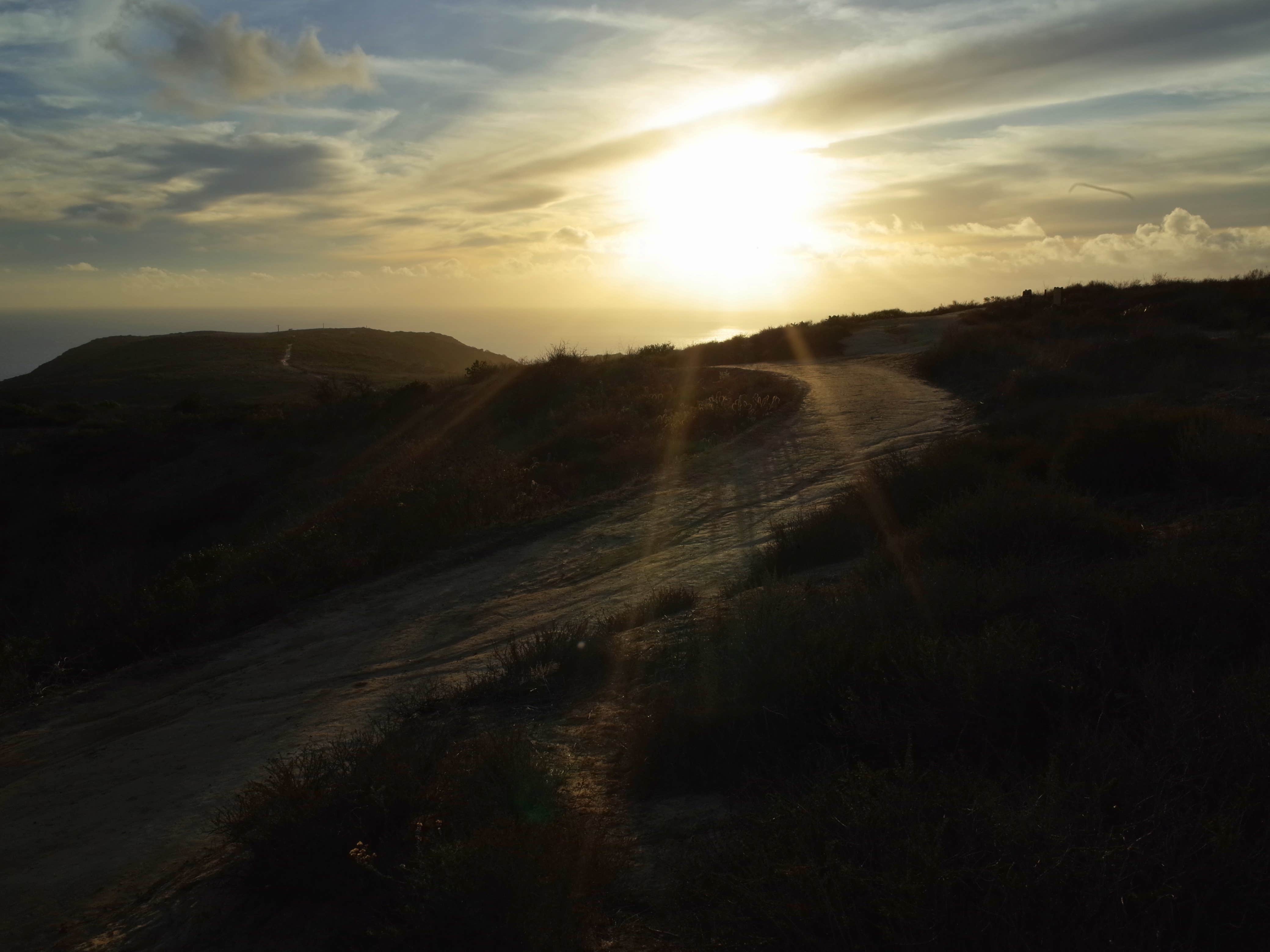 Camper submitted image from Crystal Cove State Park Primitive - 2