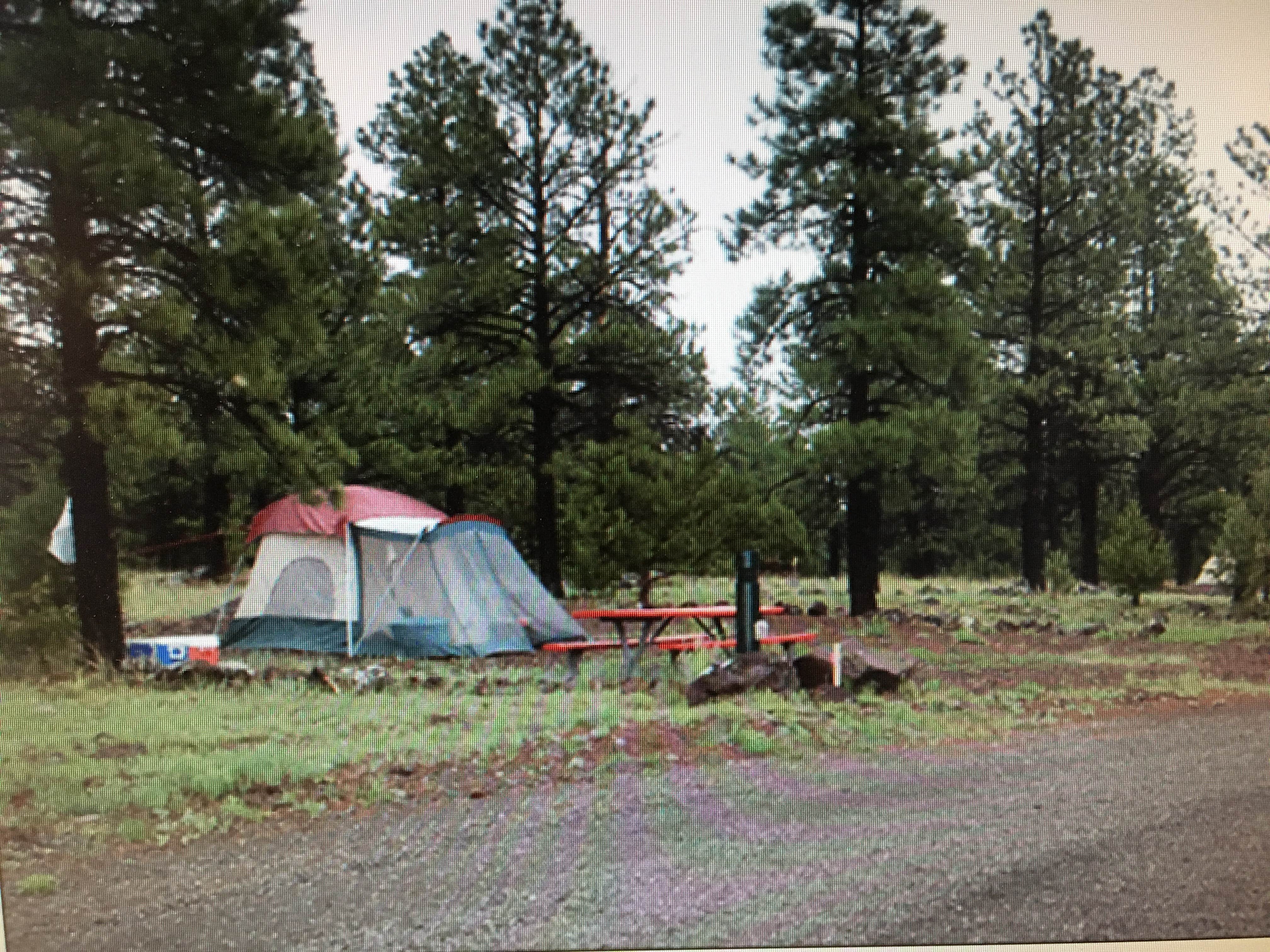 Camper submitted image from The Canyon Motel & RV Park - 4