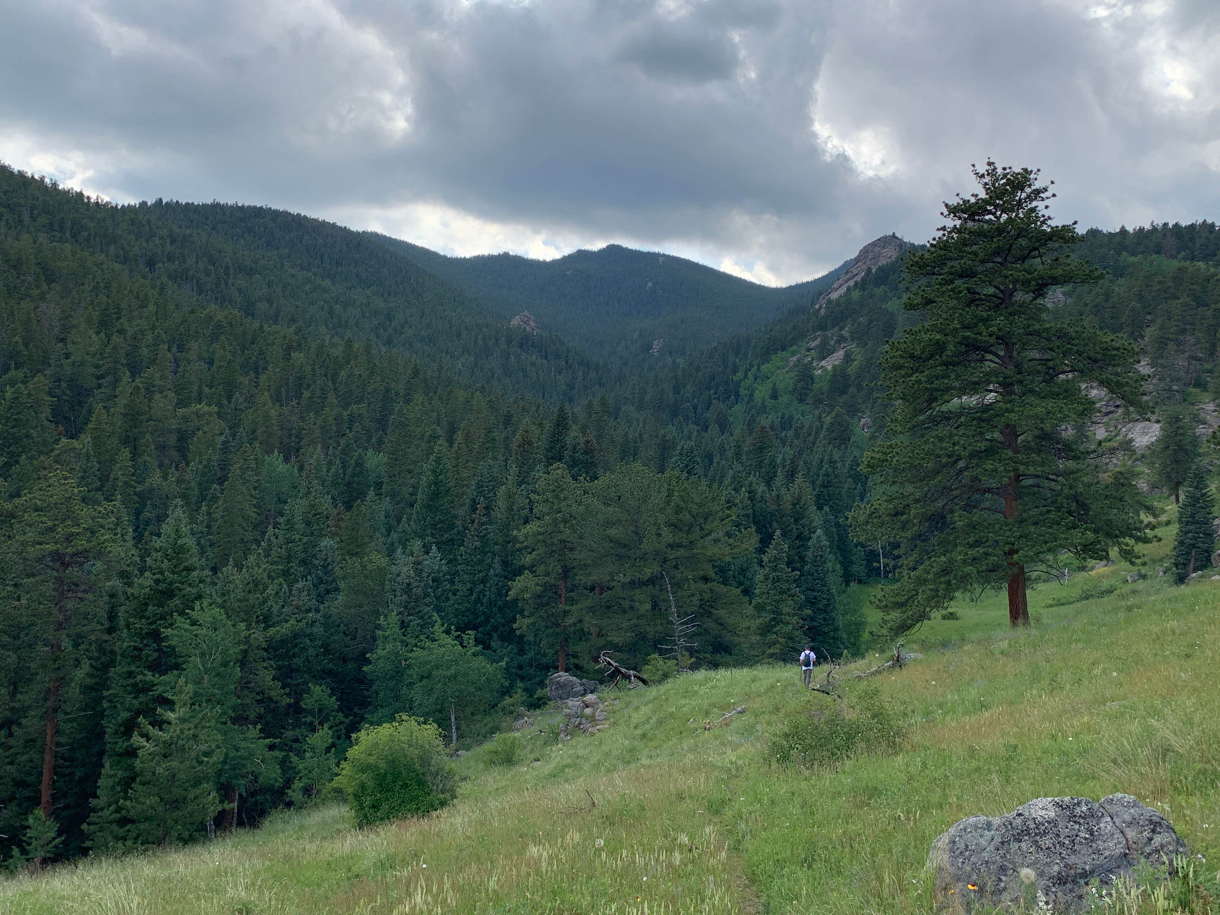 Mt evans hotsell wilderness camping