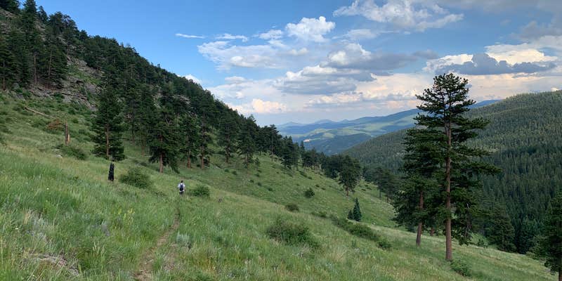 Camper submitted image from Captain Mountain Trailhead