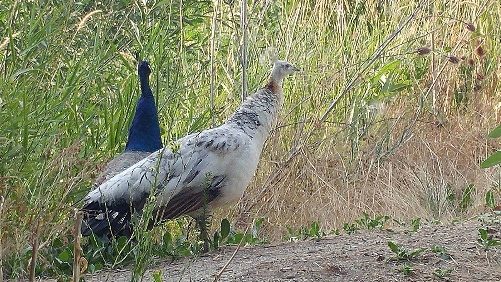 Camper-submitted photo at Lagoon RV Park & Campground near South Jordan, UT