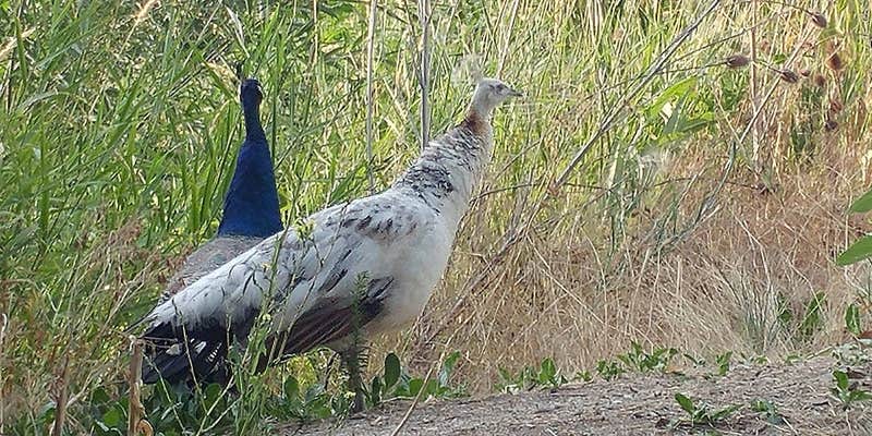 Camper submitted image from Lagoon RV Park & Campground