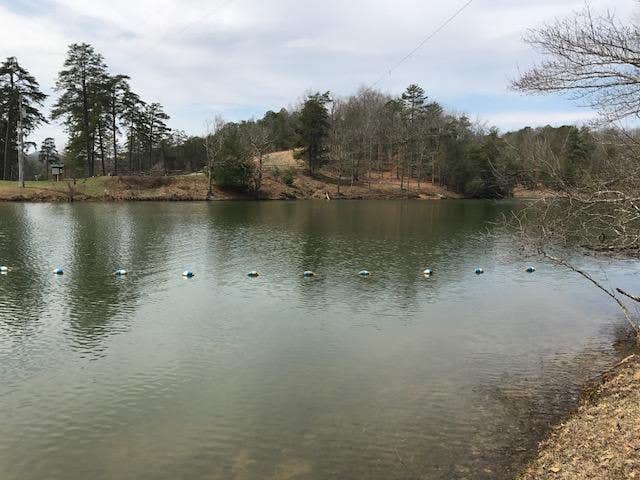 Camper-submitted photo at Gatewood Park near Blacksburg, VA