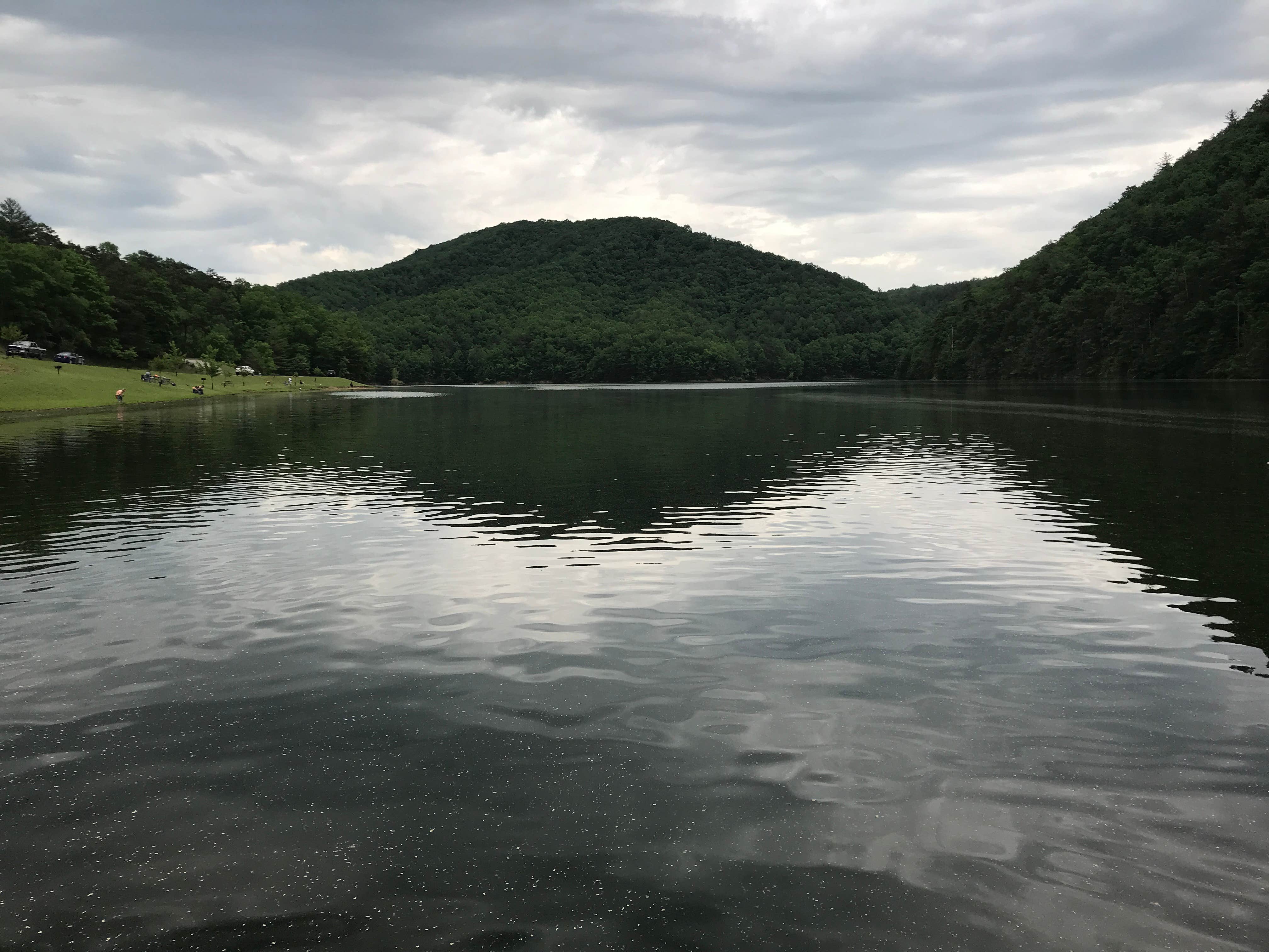 White cedar shop horse camp