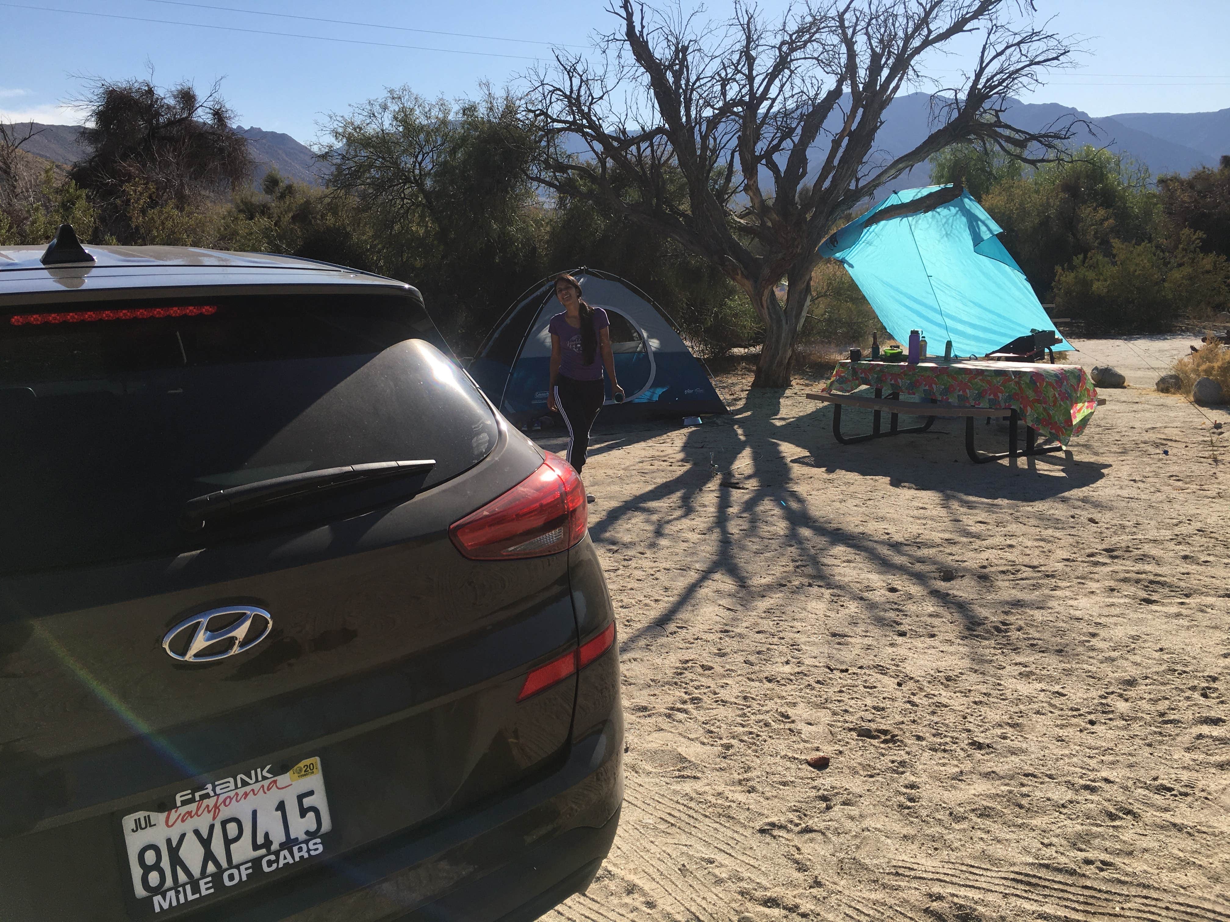 Camper-submitted photo at Vallecito County Park near Ranchita, CA