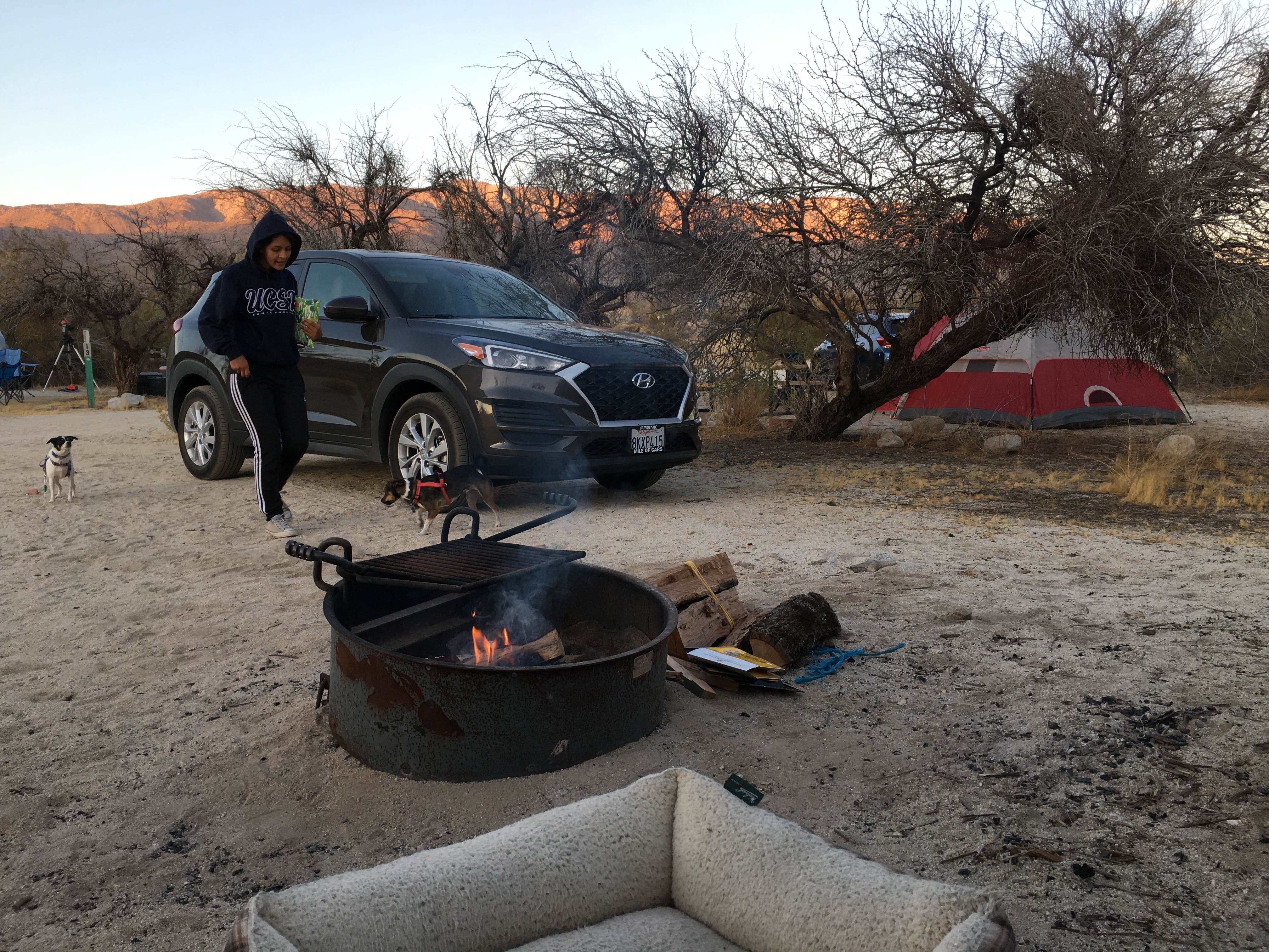 Camper submitted image from Vallecito County Park - 2