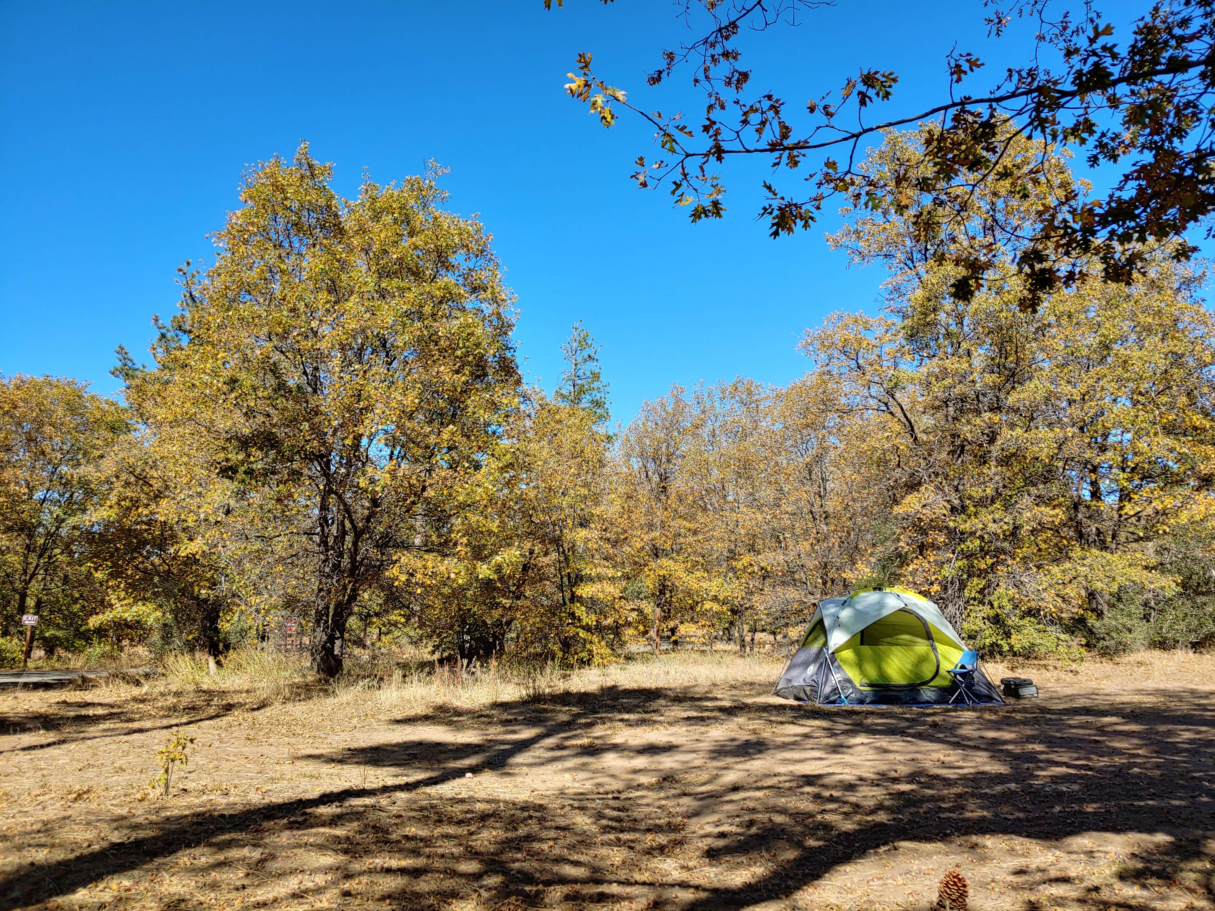 TC C.'s photo at Burnt Rancheria Campground near Ocotillo, CA