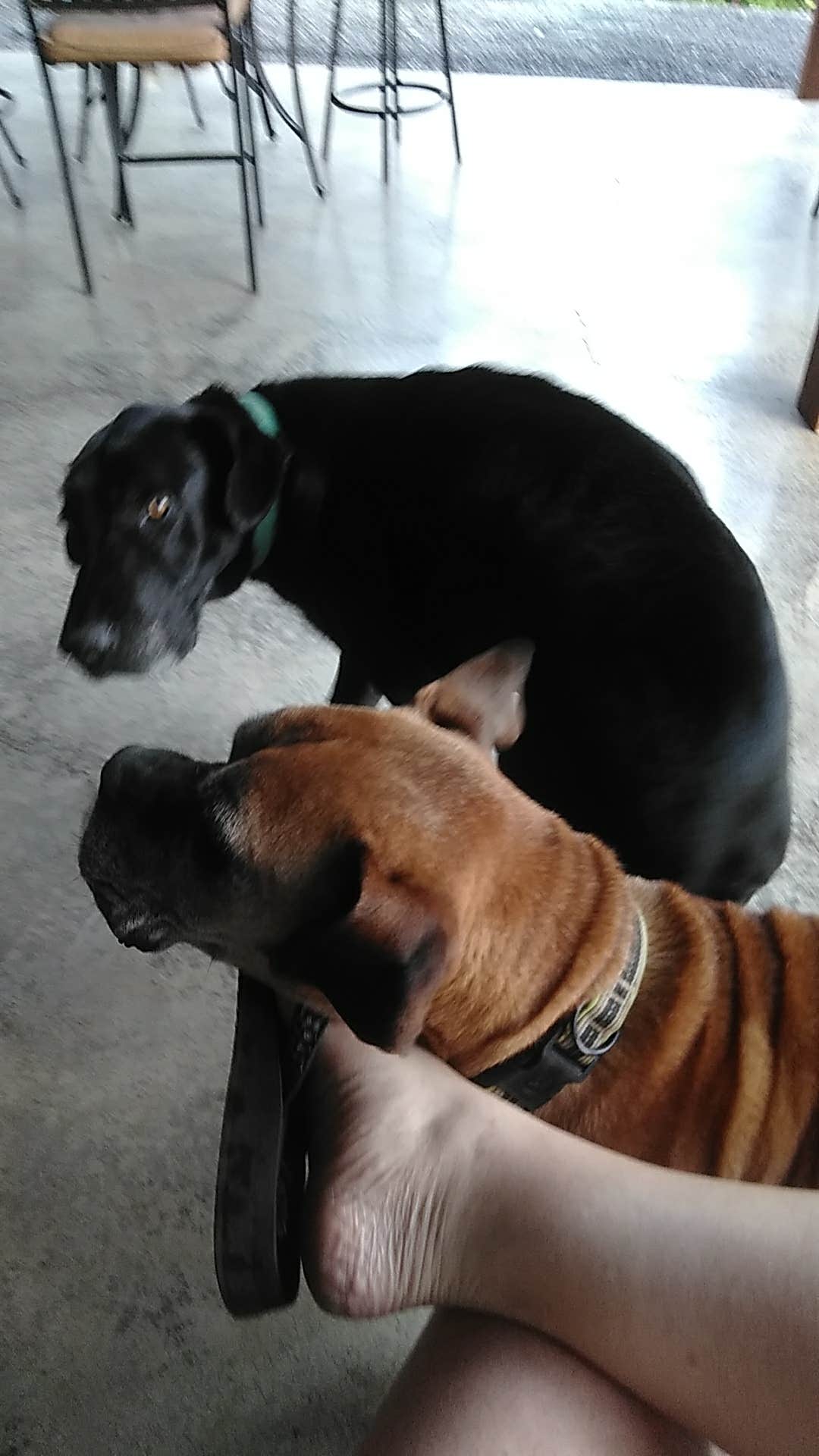 Camper-submitted photo at Hidden Lake Campground and Resort near Tallassee, TN