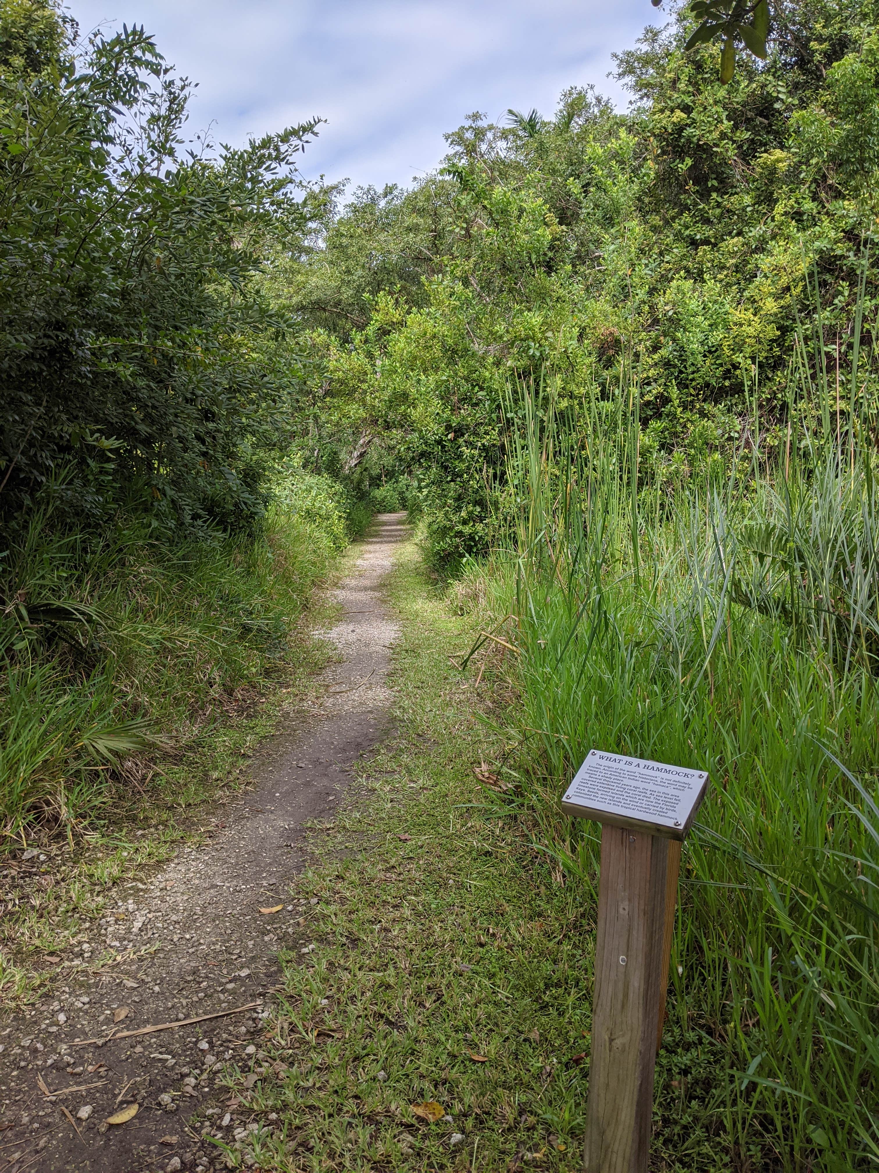 Camper submitted image from Collier-Seminole State Park - 3