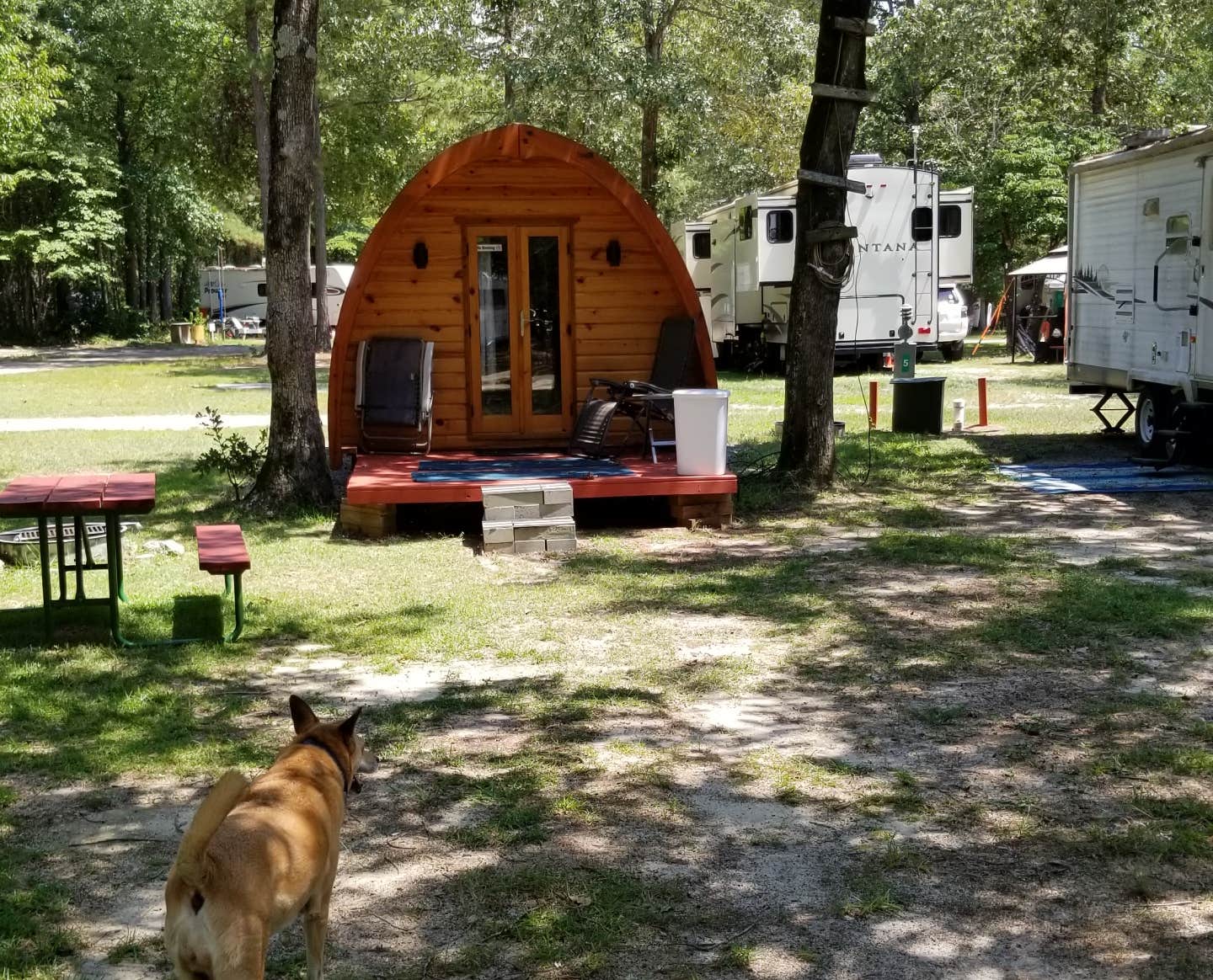 Thomas N.'s photo of camping with pets at Oasis of North Carolina near Laurinburg, NC