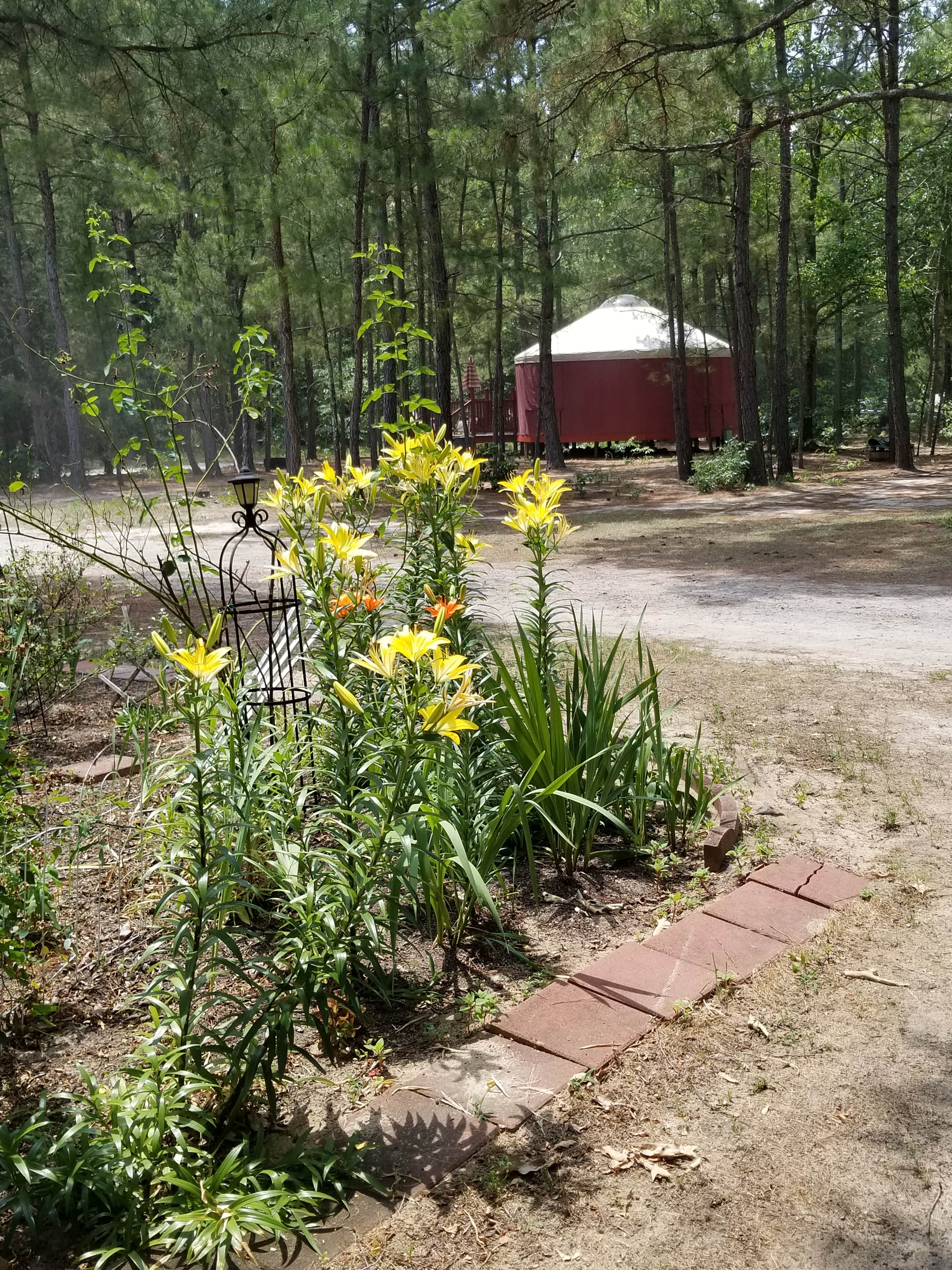 Camper submitted image from Oasis of North Carolina - 5