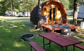 Thomas N.'s photo of a cabin at Oasis of North Carolina near Darlington, SC