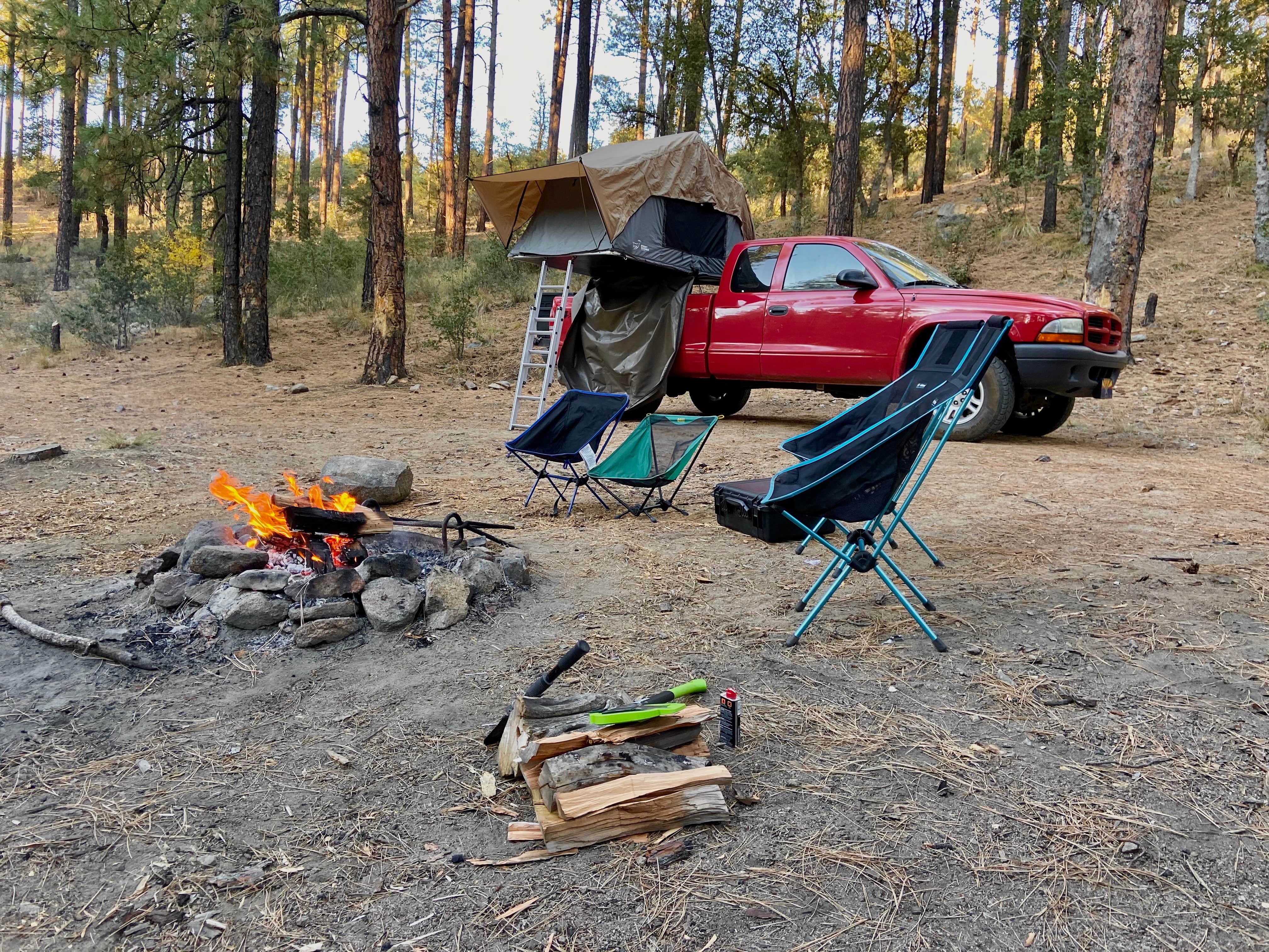 Camper submitted image from Mt. Trittle Rd Site #10/11 - 2