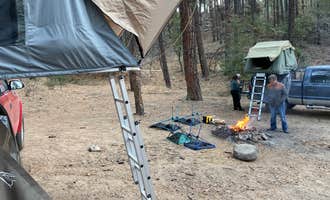 Camping near Senator Hwy Dispersed Camp Site: Mt. Trittle Rd Site #10/11, Prescott National Forest, Arizona