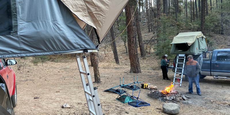 Camper submitted image from Mt. Trittle Rd Site #10/11