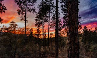 Camping near Upper Wolf Creek Group: Senator Hwy Dispersed Camp Site, Prescott National Forest, Arizona