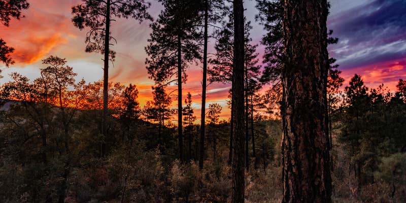 Camper submitted image from Senator Hwy Dispersed Camp Site