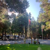 Review photo of Mt. Lassen-Shingletown KOA by Erin S., November 14, 2019