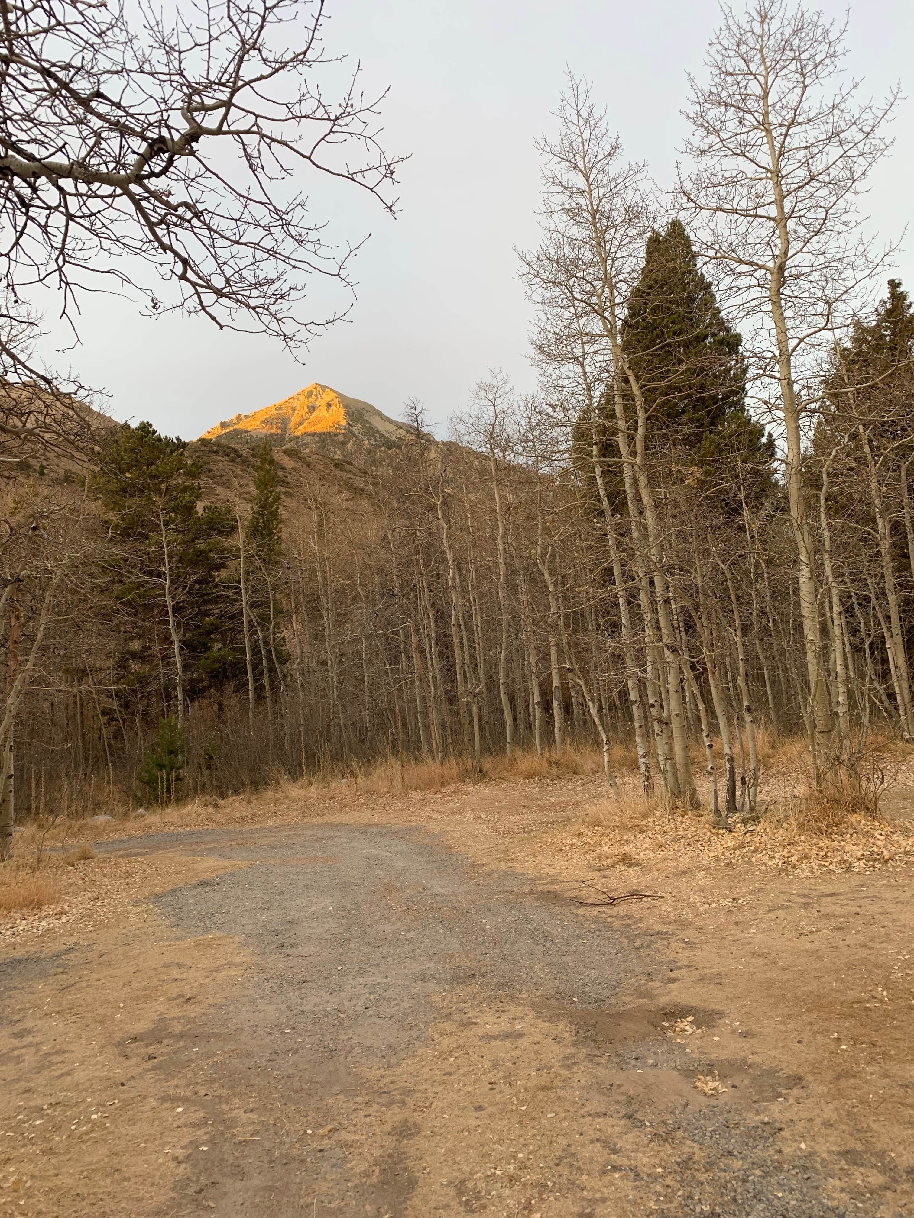 Camper-submitted photo at Lundy Canyon Campground near Bridgeport, CA