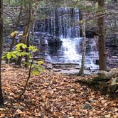 Review photo of Hickory Run State Park Campground by Anthony  D., November 14, 2019