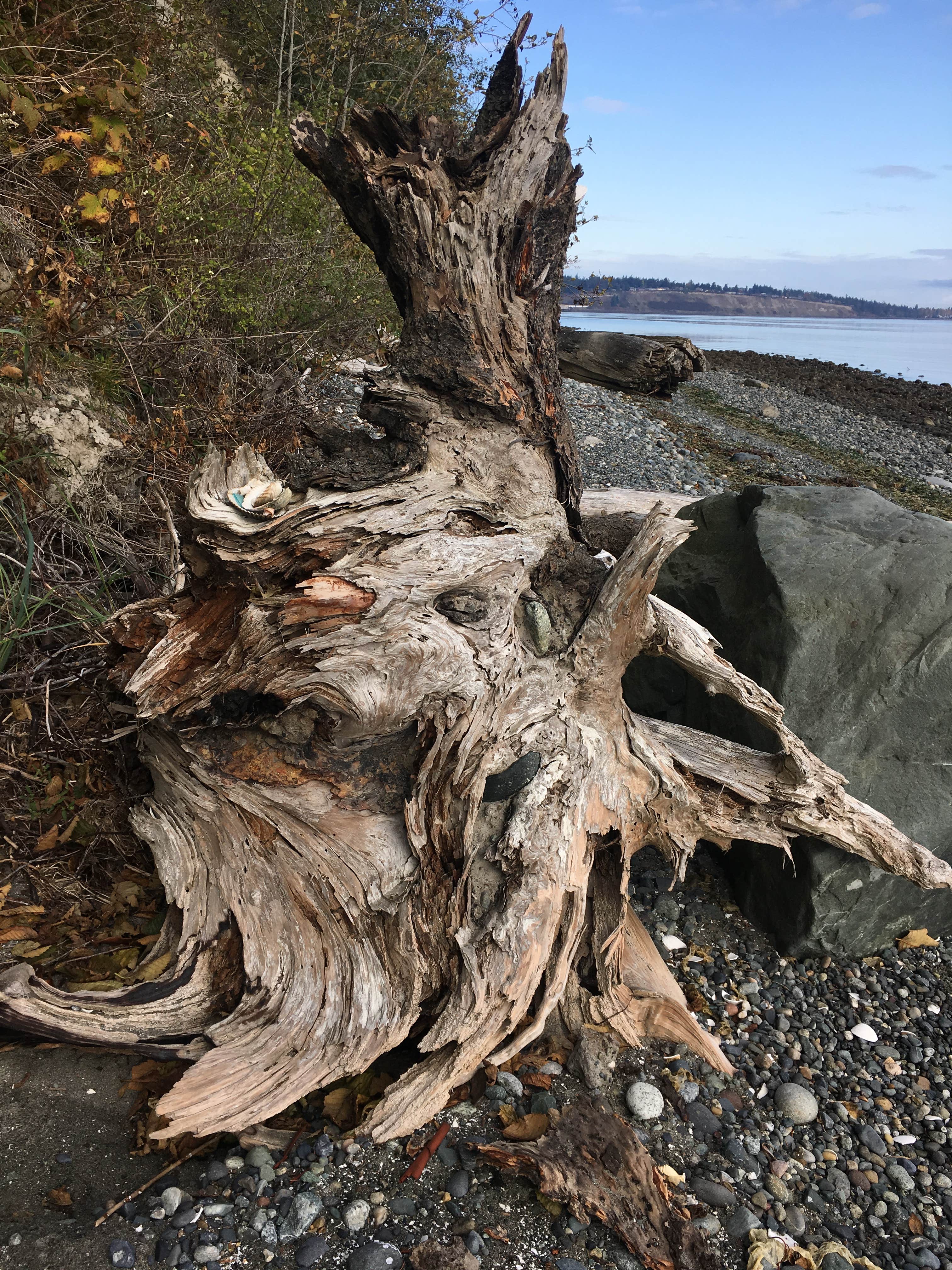 Camper-submitted photo at Fort Townsend Historical State Park Campground near Sequim, WA