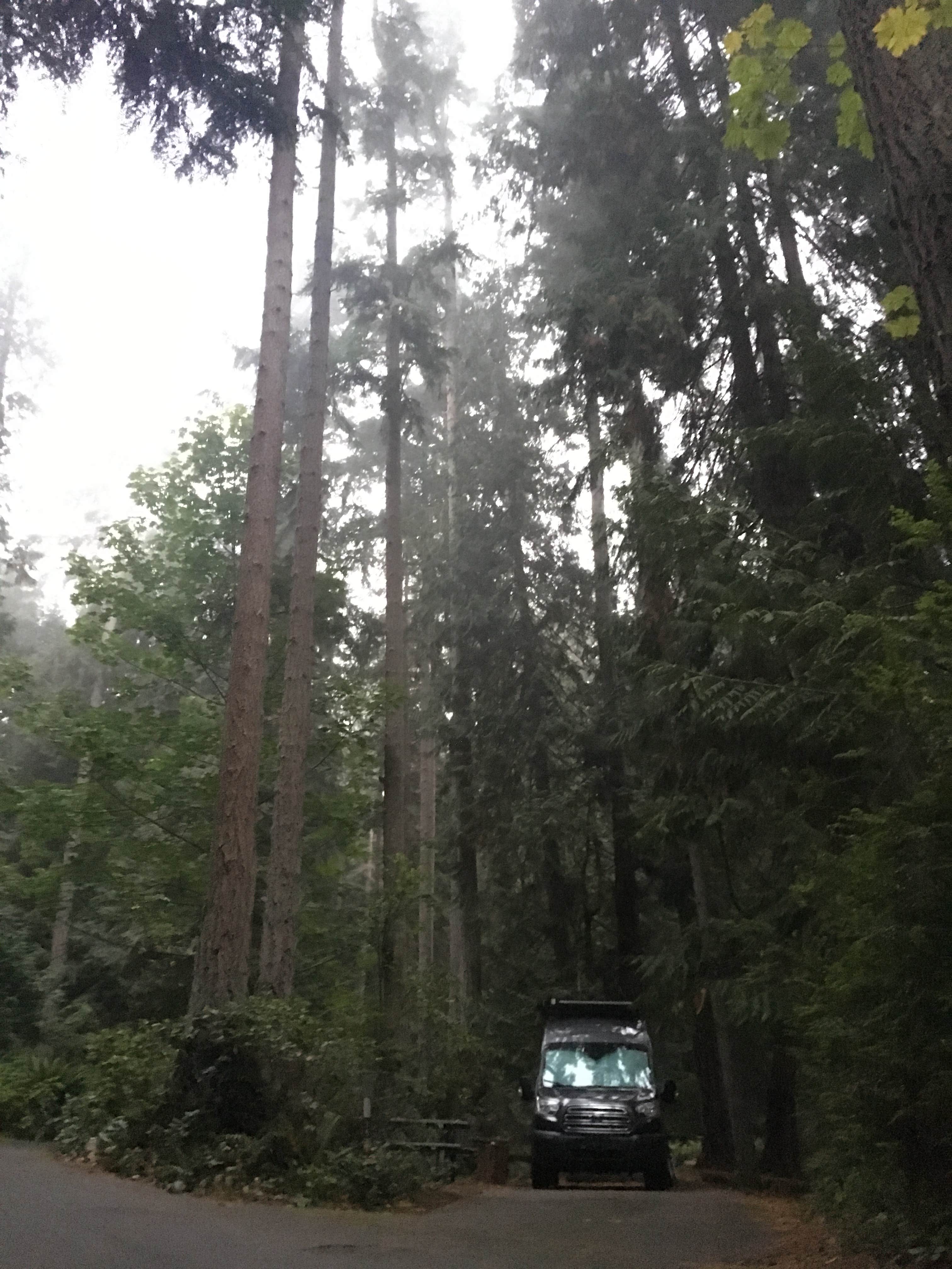 Camper-submitted photo at Fort Townsend Historical State Park Campground near Sequim, WA