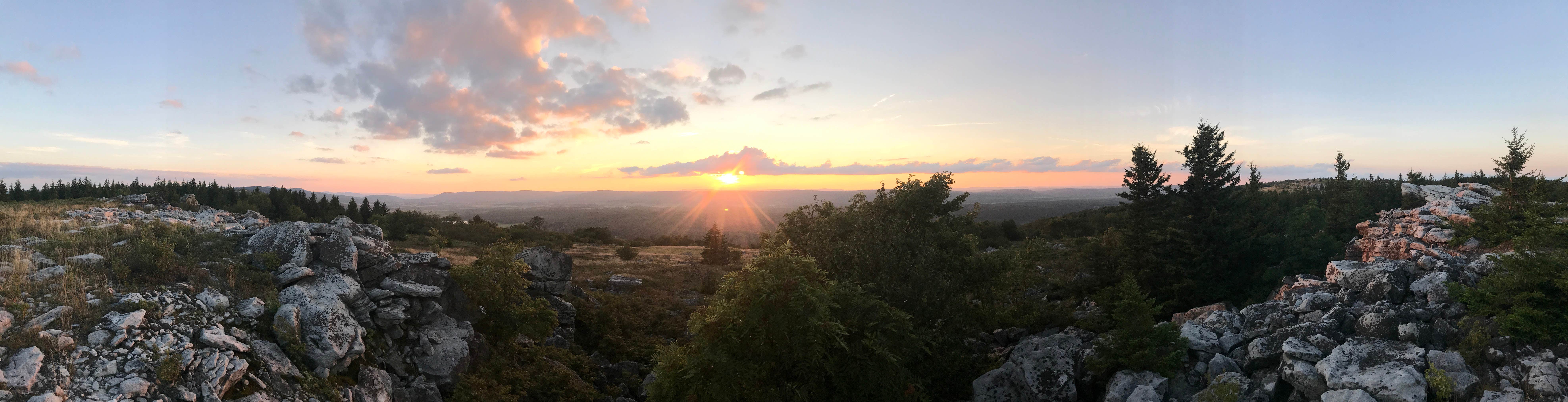 Dave V.'s photo of a dispersed camping area at Dolly Sods Backcountry in West Virginia