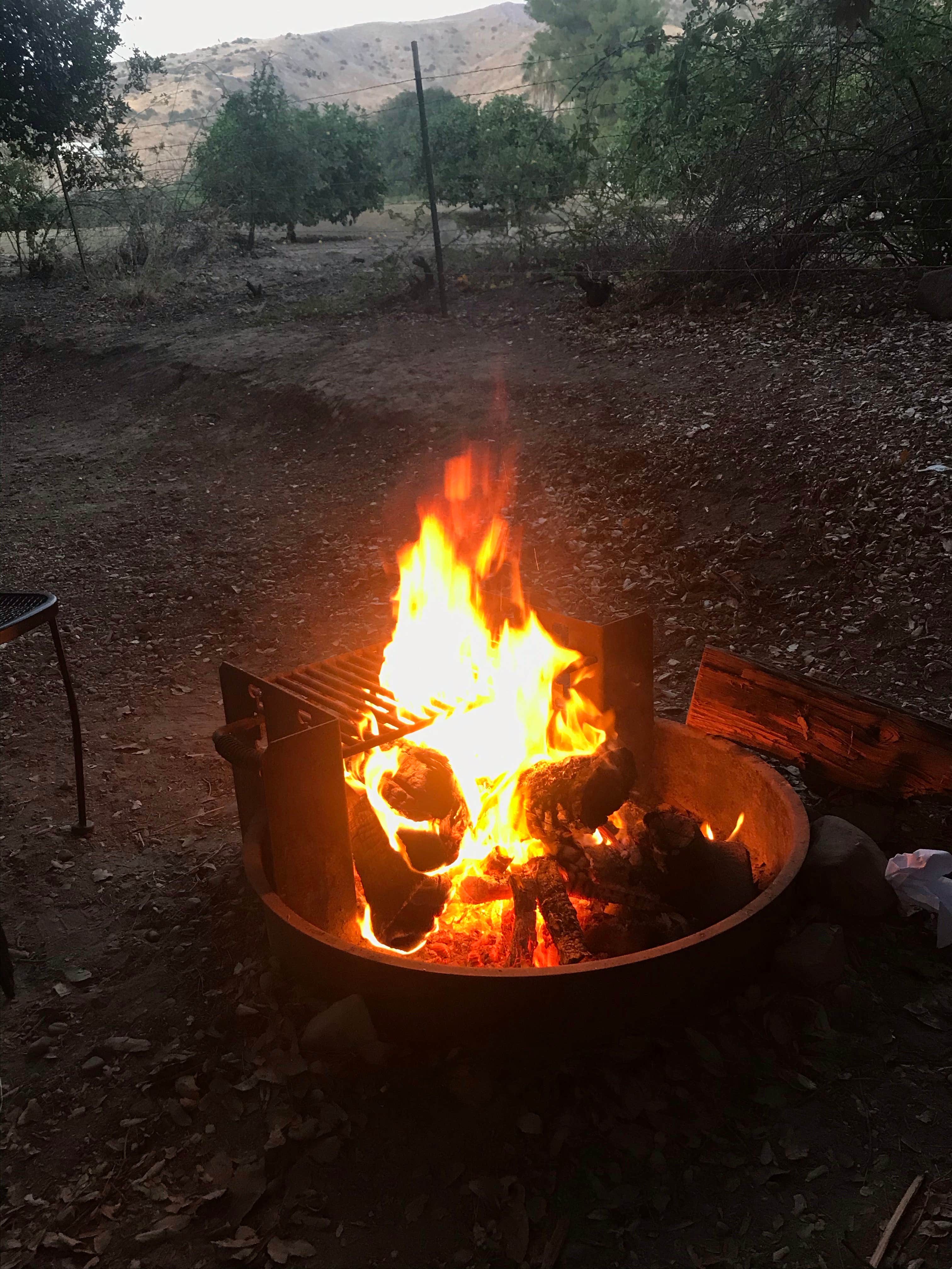 Camper submitted image from Ventura Ranch KOA - 4