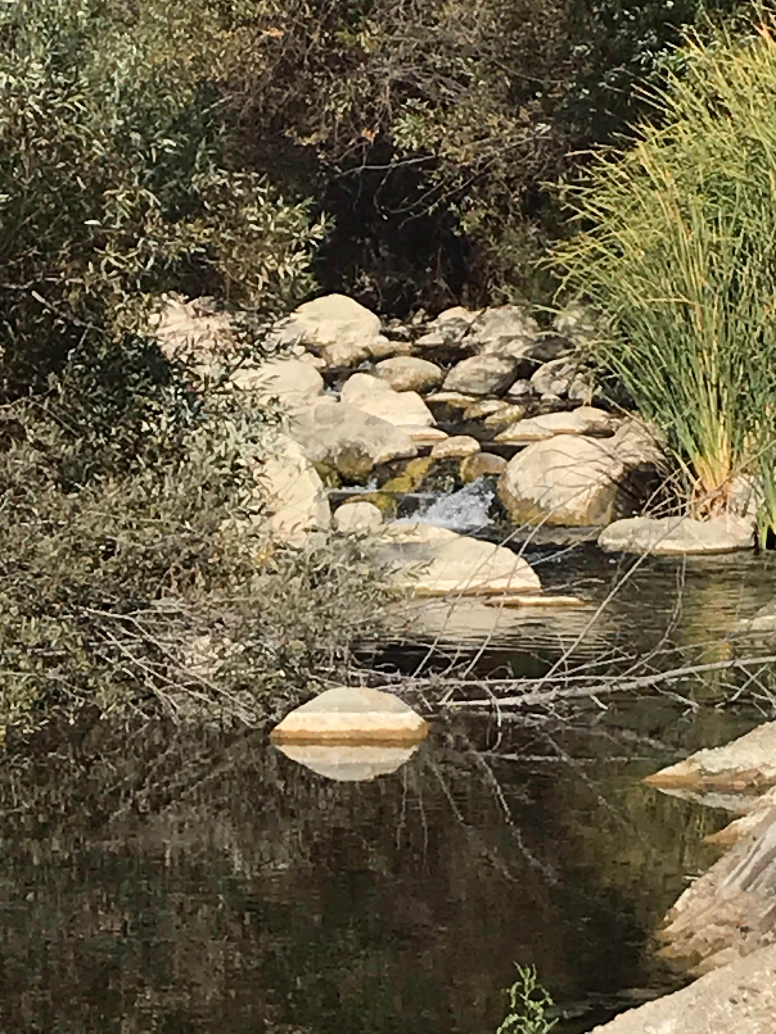 Camper-submitted photo at Ventura Ranch KOA near Moorpark, CA