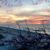 Review photo of Cayo Costa State Park Campground by Jennifer L., November 15, 2019