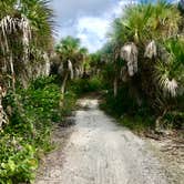 Review photo of Cayo Costa State Park Campground by Jennifer L., November 15, 2019