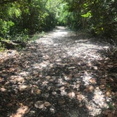 Review photo of Cayo Costa State Park Campground by Jennifer L., November 15, 2019